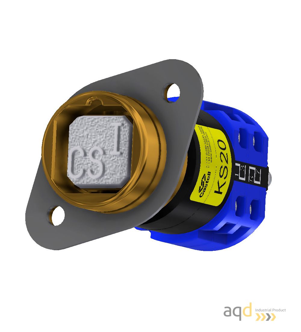 KS Interruptor eléctrico accionado por llave - Productos Castell Interlocks Bajo pedido KS Interruptor eléctrico accionado por llave - Productos Castell Interlocks Bajo pedido