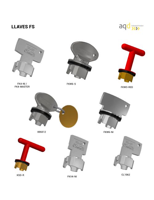 Llaves de seguridad codificables FS Castell Interlocks