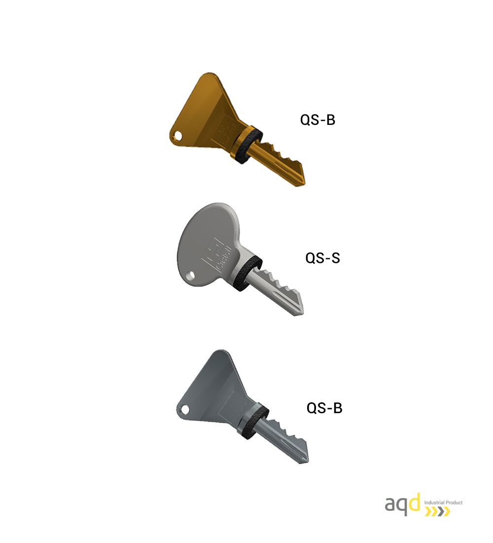Llaves de seguridad codificables Q Castell Interlocks - Productos Castell Interlocks Bajo pedido Llaves de seguridad codificables Q Castell Interlocks - Productos Castell Interlocks Bajo pedido