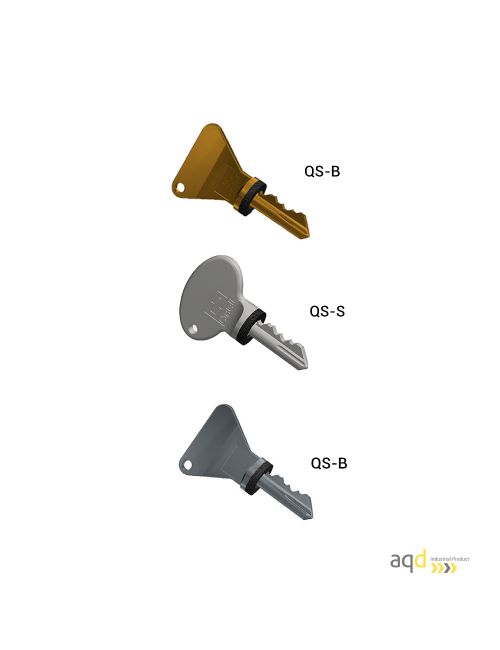 Llaves de seguridad codificables Q Castell Interlocks